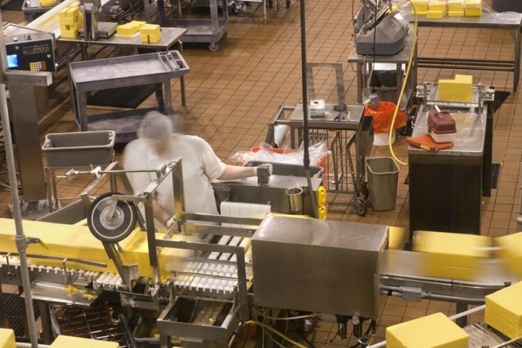 Pasvalio surine diary production prosess automation project