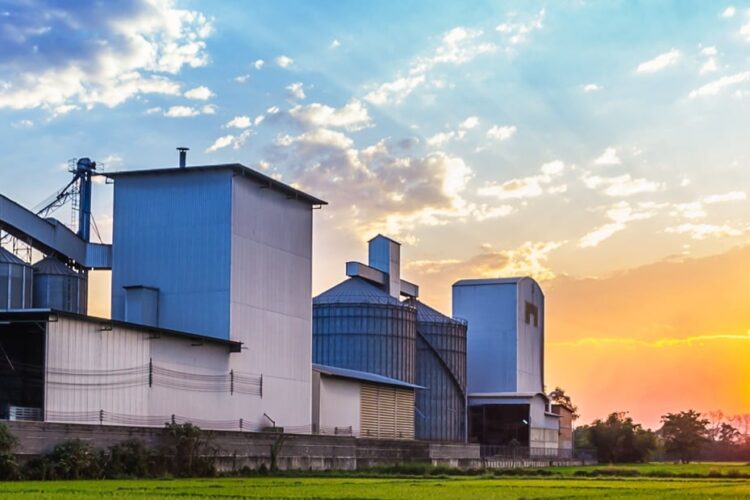 Agrokomplex Qabala grain processing automatisation project